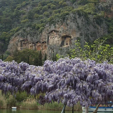 Caria Hotel Sarigerme